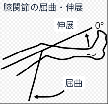 膝関節の屈曲と伸展角度