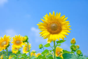 膝痛の原因になり得る生活習慣