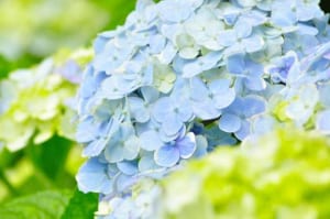 入浴は膝に効果的